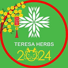 Thảo Dược Teresa Herbs 