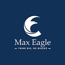 Max Eagle Corp 