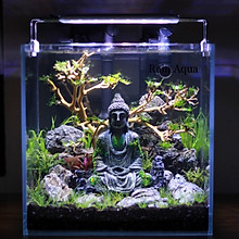 Rain Aquarium