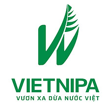 Dừa nước Vietnipa 