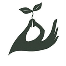 Gieo - Đặc sản Đà Lạt 