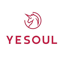 YESOUL VIET NAM 