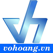 Vo Hoang Trading Co.,Ltd 