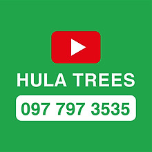 Nhà vườn Hula Trees