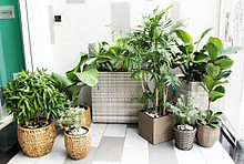 NỘI THẤT COSYFURNITURE