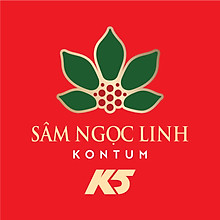 K5 Sâm Ngọc Linh KonTum