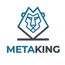 METAKING LTD 