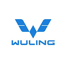 Wuling EV Official 