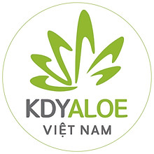 NHA ĐAM SAPONARIA HÀN QUỐC KDY ALOE