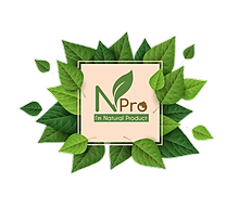 Nprovietnam