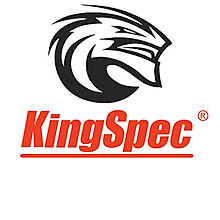 KingSpec Official Store 