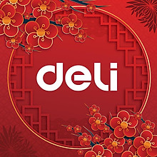 Deli Official Store 