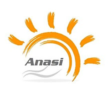 Anasi Official Store 