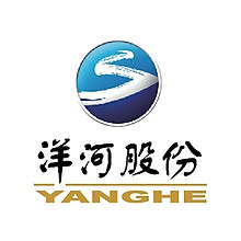 Yanghe Official Store 