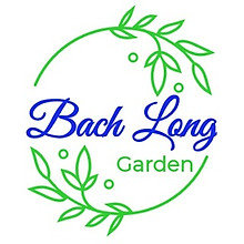 Bạch Long Garden 