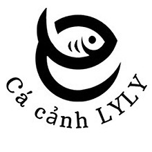 Lyly Shop 