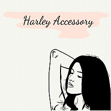 Harley Accessory
