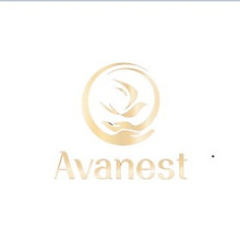 Yến đảo Avanest
