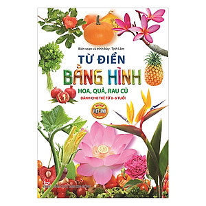 Combo Từ Điển Bằng Hình (Trọn Bộ 2 Cuốn)