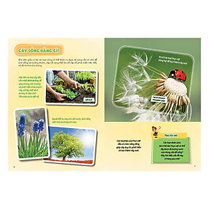 Sách Cây Cối Diệu Kì - Học Vui Hiểu Rộng Biết Nhiều