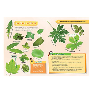 Sách Cây Cối Diệu Kì - Học Vui Hiểu Rộng Biết Nhiều