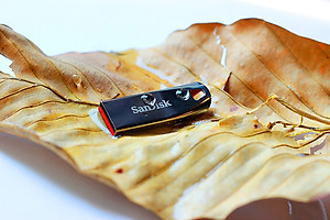 USB 2.0 SanDisk Cruzer Force CZ71 16GB - Hàng chính hãng