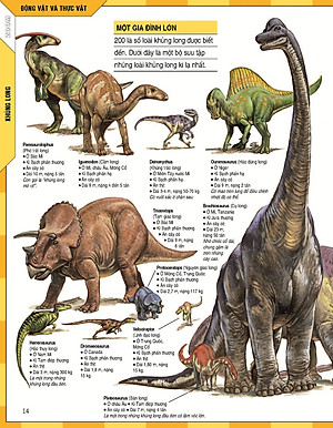 Sách Bách Khoa Thư Thế Hệ Mới (Tái Bản 2016)