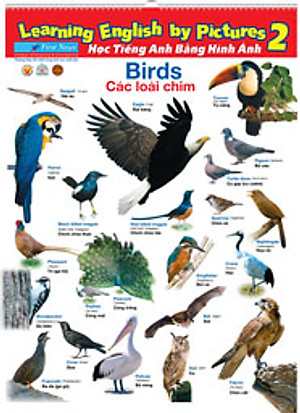 Sách Bộ Poster 8 Tờ - Tập 2