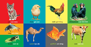 Sách 101 First Words - Animals (101 Từ Đầu Tiên - Động Vật)