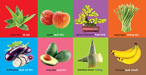 Sách 101 First Words - Plants (101 Từ Đầu Tiên - Thực Vật)