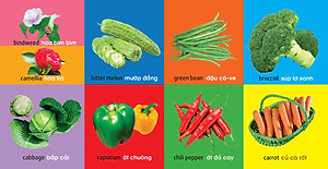 Sách 101 First Words - Plants (101 Từ Đầu Tiên - Thực Vật)