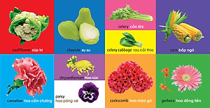 Sách 101 First Words - Plants (101 Từ Đầu Tiên - Thực Vật)