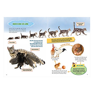 Sách Sinh Vật Sống - Học Vui Hiểu Rộng Biết Nhiều