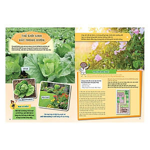 Sách Sinh Vật Trú Ẩn Và Săn Mồi - Học Vui Hiểu Rộng Biết Nhiều