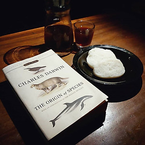 Sách Signet Classics : The Origin of Species (150TH ANNIVERSARY EDITION)