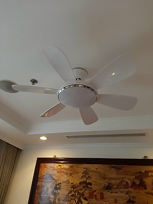 quạt trần có đèn trang trí, quạt rất mát và chạy rất êm, có điều khiển từ xa