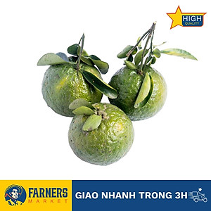 [Chỉ Giao HCM] -Cam sành loại 1 (1KG) - Múi thịt màu cam, có vị thơm đặc trưng, ngọt dịu.