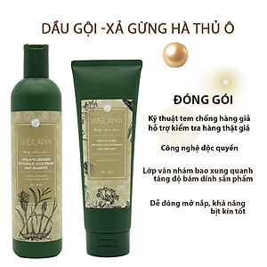 Bộ Dầu Gội Xả Hỗ Trợ Trị Rụng Tóc Kích Thích Mọc Tóc Weilaiya Tinh Chất Gừng Hà Thủ Ô Cao Cấp Ngăn Ngừa Rụng Tóc Lưu Thông Mạch Máu Hương Thảo Dược (Gội 400ml- Xả:250ml)- Sản Phẩm Chính Hãng