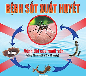 Thuốc diệt côn trùng trong nhà, diệt muỗi, không mùi dùng trong gia đình y tế Pekacon 100SC xuất xứ từ Mỹ