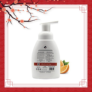 Nước rửa tay hữu cơ diệt khuẩn dạng bọt tinh dàu Cam 250ml thương hiệu Ecocare