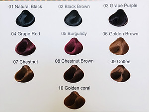 Thuốc Nhuộm Tóc Tại Nhà Thảo Mộc OHBAMA CHÍNH HÃNG với 10 màu lựa chọn Tuýp 240ml