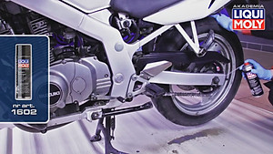 Chai Vệ Sinh Sên Có Phốt Liqui Moly 1602 (500ml)