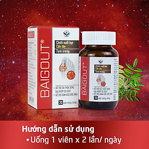 Viên uống Hỗ Trợ Kiểm Soát Các Bệnh Về Gout, Hỗ Trợ Giảm Đau Do Gout Baigout (Hộp 20 Viên)
