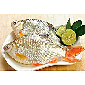 Thùng (06 hộp) Cá Mè Vinh kho lạt (210gr) - Antesco - Cá kho đóng hộp 210 gram, thực phẩm đóng hộp ăn liền (Đặc sản miền tây)