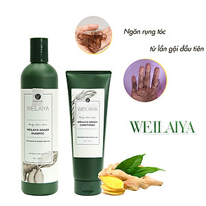 Dầu Gội Cặp Weilaiya Thảo Dược Mọc Tóc Hỗ Trợ Trị Gàu Dưỡng Tóc, Đen Tóc Cho Tóc Nhuộm Tinh Chất Gừng Cao Cấp Chiết Xuất 100% Từ Thiên Nhiên Không Chứa Sunfat Tạo Bọt (Gội: 400ml- Xả: 250ml)- Sản Phẩm Chính Hãng