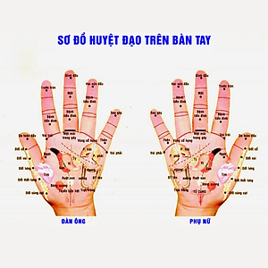 Dụng cụ massage ngón tay đa năng Duy Thành YMS10 - Sử dụng được cho massage mặt và mắt khi trang điểm hoặc tẩy trang làm mờ quầng thâm bọng mắt