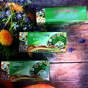 Trà Chùm Ngây (Hộp 50 Túi Lọc X 2g) - Nguyên Thái Trang - Thảo Dược Thiên Nhiên – Tốt Cho Sức Khỏe