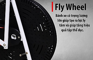 Xe đạp tập thể dục trong nhà BG 8702 Plus (hàng nhập khẩu)