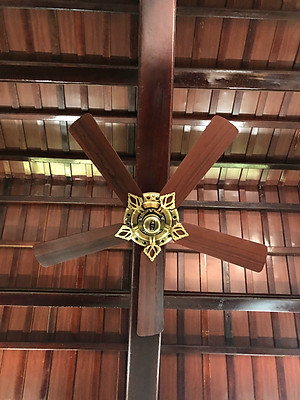 Mua Quạt trần cánh gỗ Kim Thuận Phong BT08N (Đồng cánh nâu) (Hàng chính  hãng) | Tiki