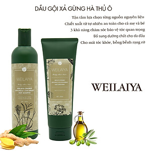 Bộ Dầu Gội Xả Hỗ Trợ Trị Rụng Tóc Kích Thích Mọc Tóc Weilaiya Tinh Chất Gừng Hà Thủ Ô Cao Cấp Ngăn Ngừa Rụng Tóc Lưu Thông Mạch Máu Hương Thảo Dược (Gội 400ml- Xả:250ml)- Sản Phẩm Chính Hãng